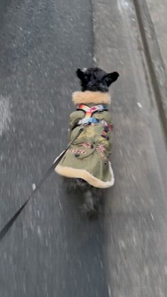 安全確認^o^の記事動画