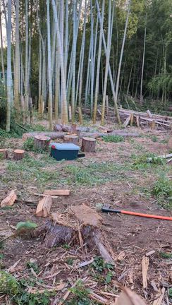 薪割りの記事動画