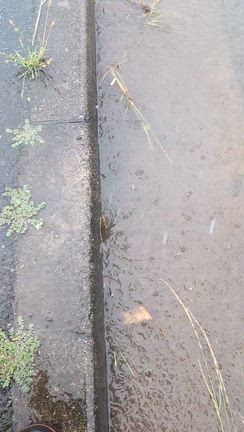 道路冠水パトロールの記事動画