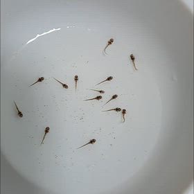 何度目かの…の画像