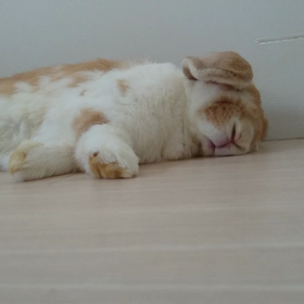2019/05/05の画像