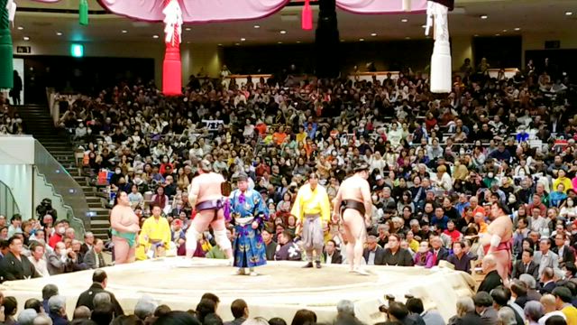 大相撲千穐楽②の記事動画
