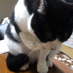ひとのふりみてわがふりなおせの画像