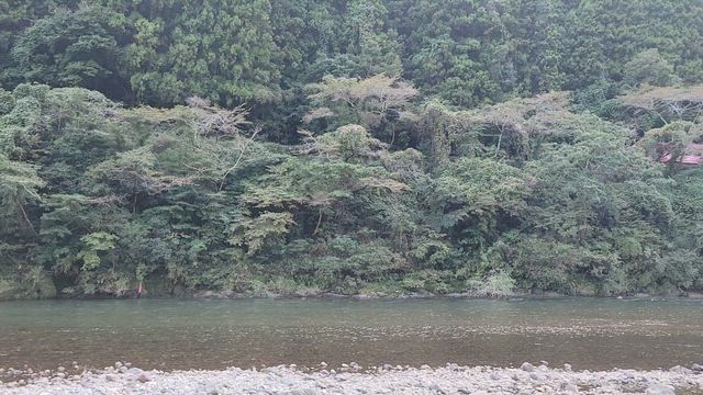 錦川で出逢えた"友"釣り師達　第４話の記事動画