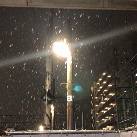 福島市内、雪が降ってますの画像
