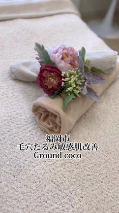 グランドココとは？の記事動画