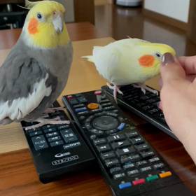 湿度ハンパない‼️の画像