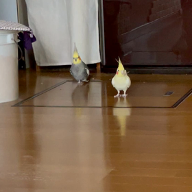 梅雨入りしましたの画像