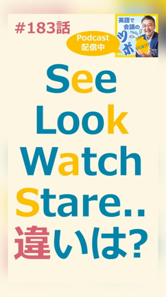 #189 英語で会議のツボ／【see, look, watch, stare・・違いは??】の記事動画