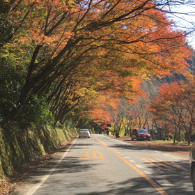 紅葉スポット♬の画像
