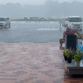 突然やってきた⭐︎⭐︎⭐︎の画像