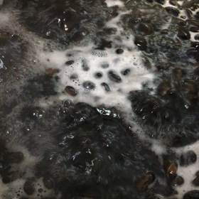 黒豆パワー♬の画像