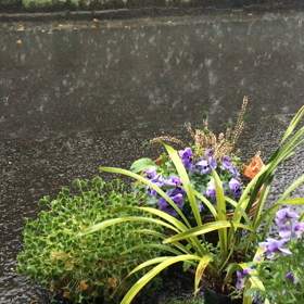暴風雨 土砂崩れに注意の画像
