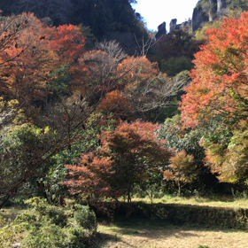 おはようございます(o^^o)の画像