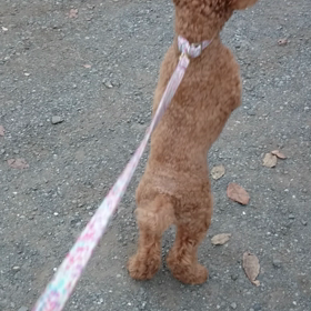 勘違い!?の画像