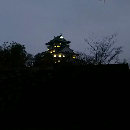 雨の日のイルミネーション～12/17サクヤルミナ～の記事動画