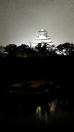 雨の日のイルミネーション～12/26サクヤルミナ～の記事動画