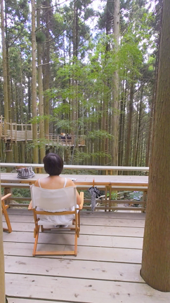 【糸島 白糸】森カフェで自然を満喫できる「 ツリーハウス」の記事動画
