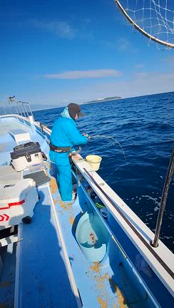 午前、午後出船の記事動画