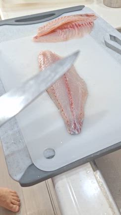 午前イサキの記事動画