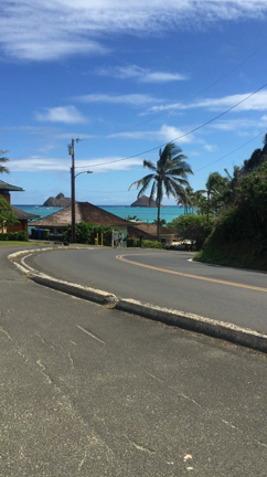 Hawaii ラニカイの坂も…Movie版の記事動画