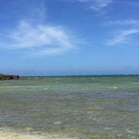 海便りの画像