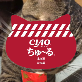 アプリで見つけて作ってみましたの画像