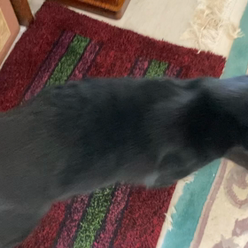 仕事に行くんですけどの画像