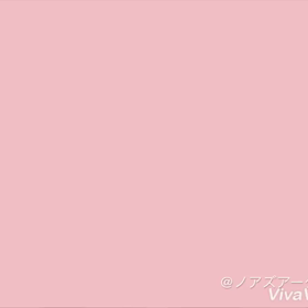 Noa’sArk ノアズアーク (フクロモモンガ マメルリハ シロハラインコ)販売の画像