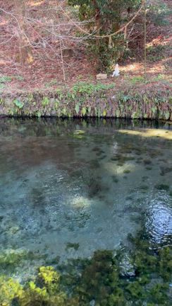 福津マカロニ食堂でランチと道の駅の記事動画