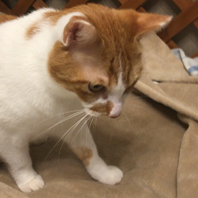 陸ちゃんのお気に入りのお遊びの画像