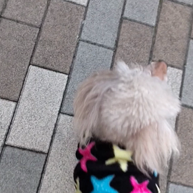 時にミラクル✨の画像