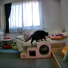 2023/04/23の画像