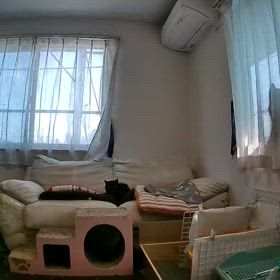 2024/03/14の画像