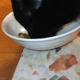 2026/08/15の画像