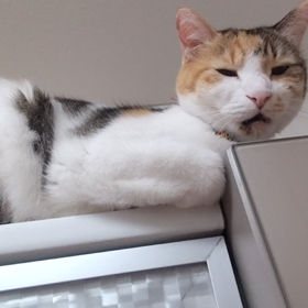 2023/11/15の画像