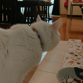 (^-^)vの画像