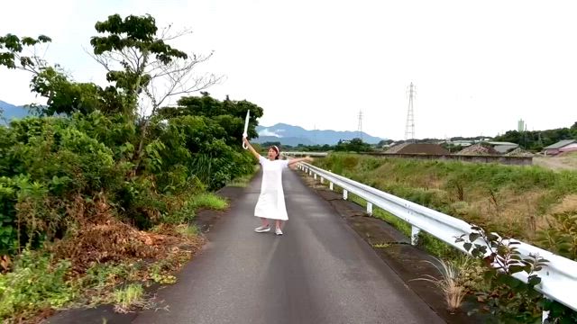 左右に広がるみかん畑の記事動画