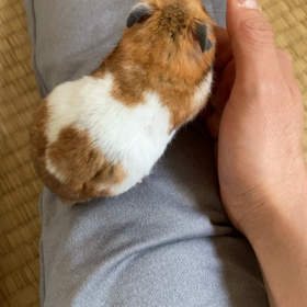 仕事納めの画像