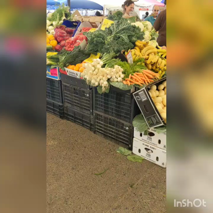 オーストラリアの市場で　この時期よく見かける物の記事動画