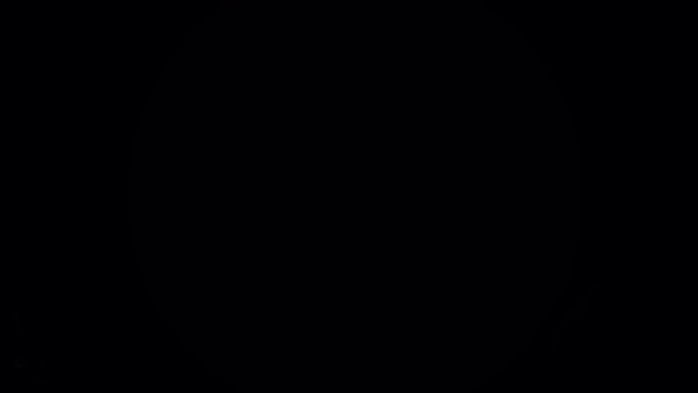 メンター紹介〜ワタベ家（仮）編〜の記事動画