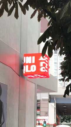 とろみ花の記事動画