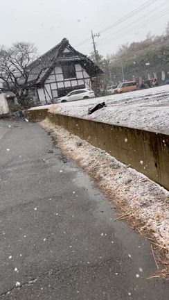 雪の中、お仕事頑張りましたの記事動画
