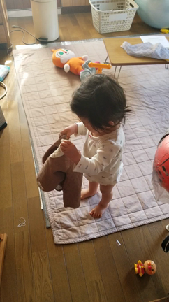 ふわわわーんの記事動画