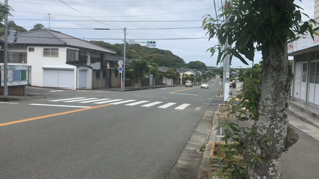 TDM…の記事動画
