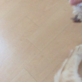 牛乳パックの画像