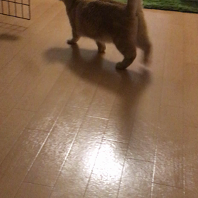 出迎えの画像