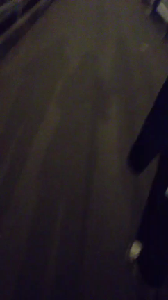 遠足③の記事動画