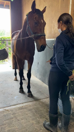 勝手に開催、馬紹介！エントリーNo.1の記事動画