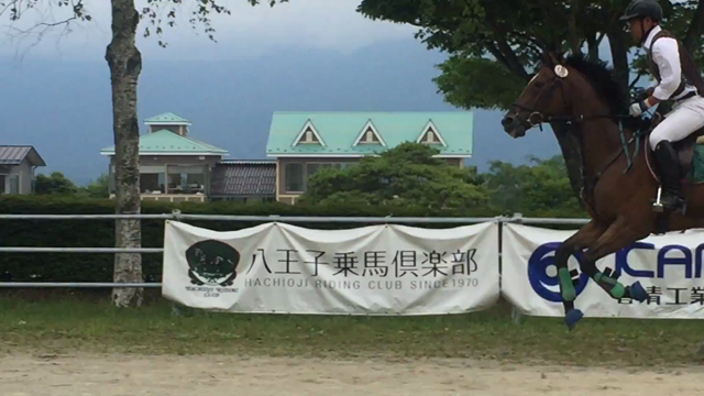 関東学生馬術競技大会　結果のお知らせの記事動画